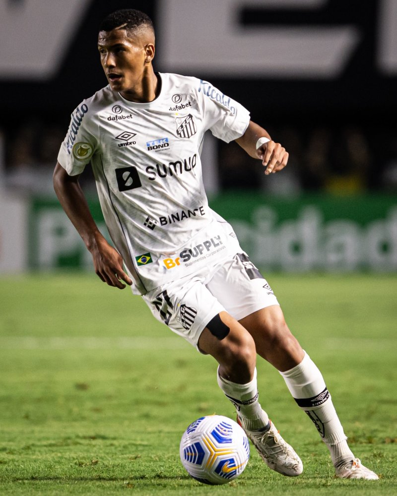 这样的贡献 这样的贡献